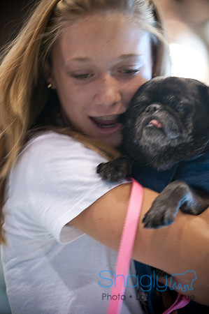 PugOWeen-3361