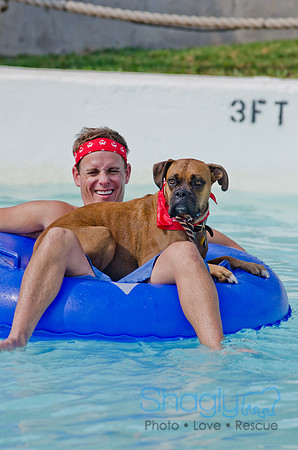Wags and Waves 2011-459