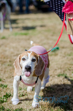 Krewe of Barkus 2012-111