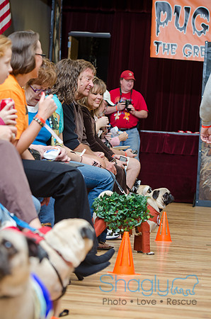 PugOween-5