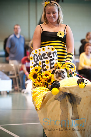 PugOWeen-3202