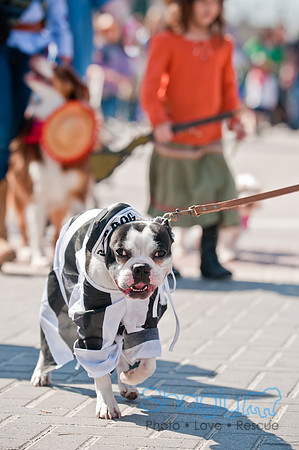 Krewe of Barkus 2011-90