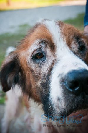 St.Clouds Rescue-0525