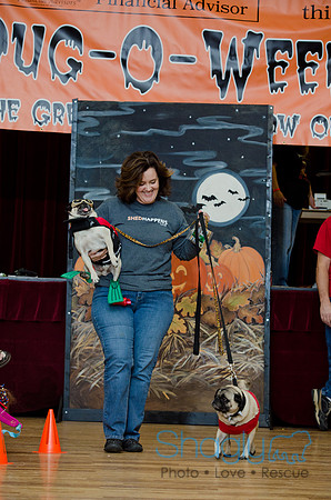 PugOween-181