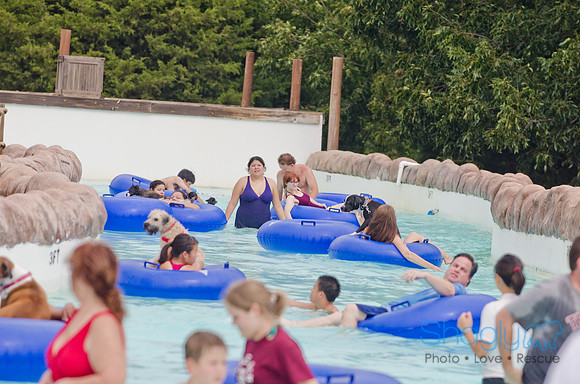 Wags and Waves 2011-128