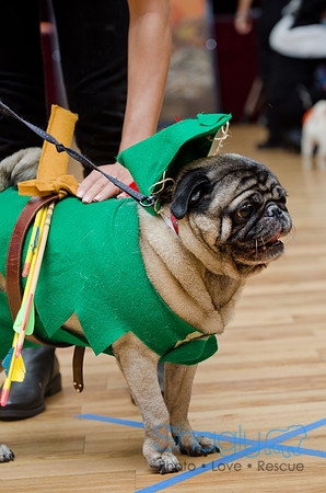 PugOween-132