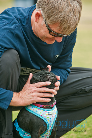Pug Love Fun Run-109