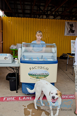 Wags and Waves 2011-191