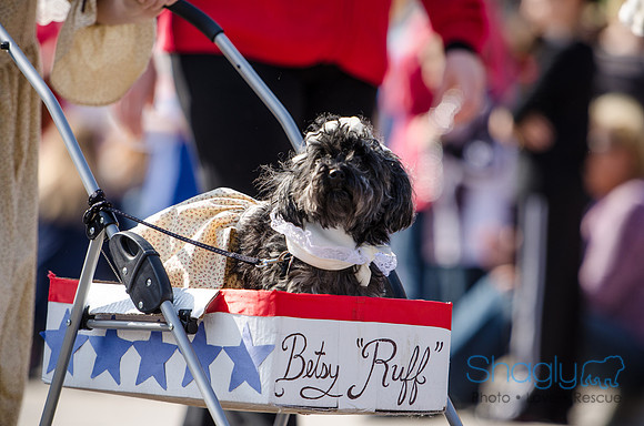 Krewe of Barkus 2012-234
