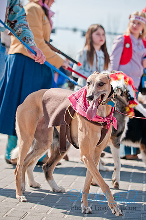 Krewe of Barkus 2011-113