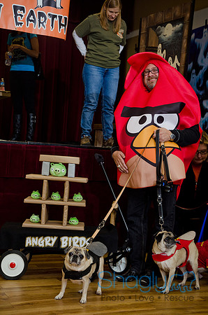 PugOween-250