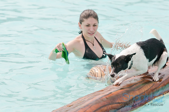 Wags and Waves 2011-168