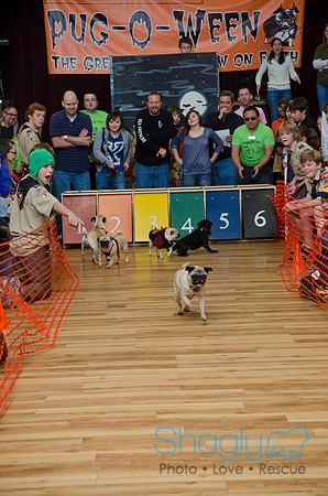 PugOween-267