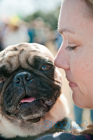 Krewe of Barkus 2011-164