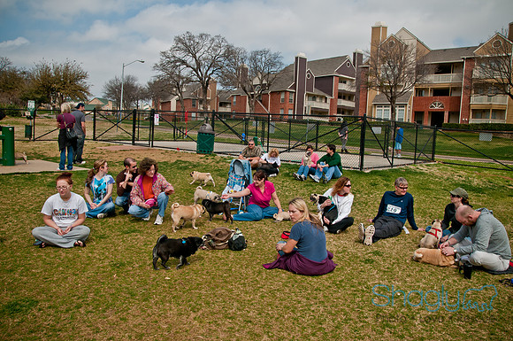 Pug Love Fun Run-227