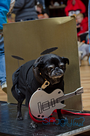 PugOween-235