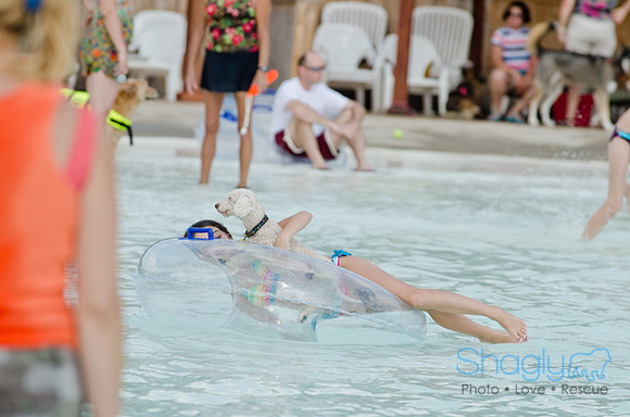 Wags and Waves 2011-481