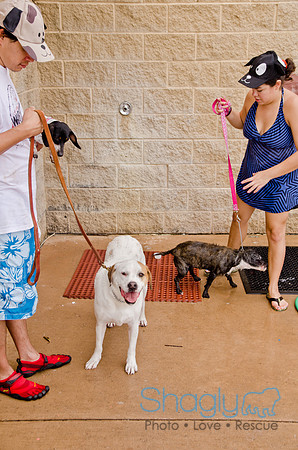 Wags and Waves 2011-333