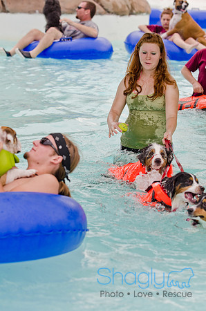 Wags and Waves 2011-108