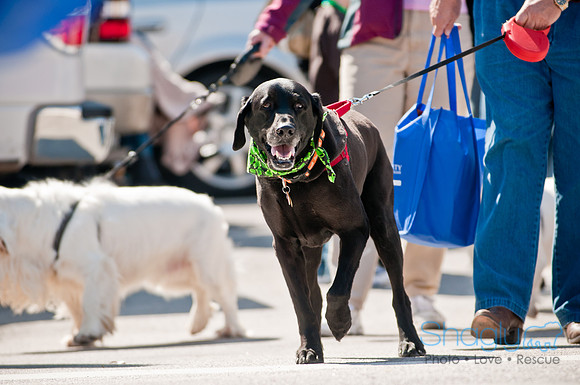 Krewe of Barkus 2011-130