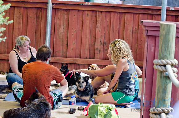 Wags and Waves 2011-471