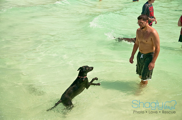 Wags and Waves-343