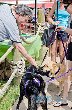 Wags and Waves 2011-384