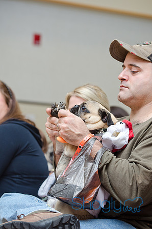 PugOween-41