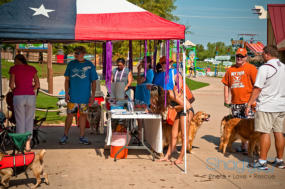 Wags and Waves-41
