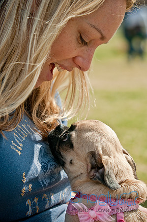 Pug Love Fun Run-174