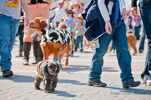 Krewe of Barkus 2011-107