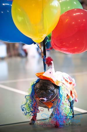 PugOWeen-3223