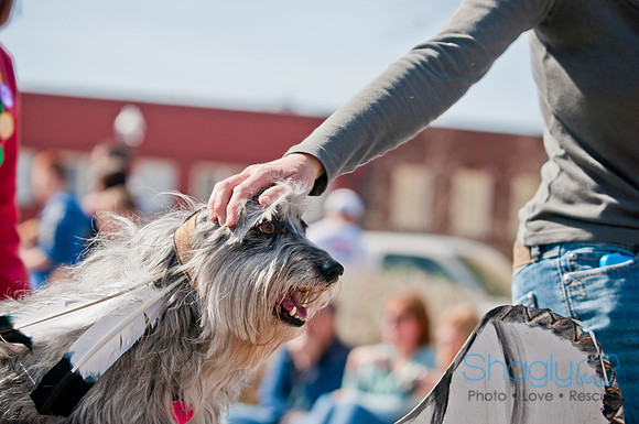 Krewe of Barkus 2011-106
