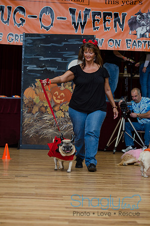 PugOween-142