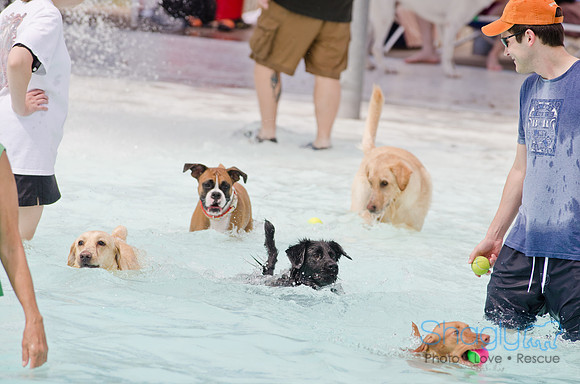 Wags and Waves 2011-167