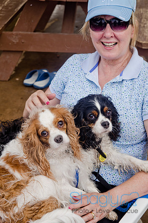 Wags and Waves 2011-300