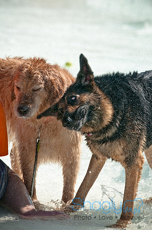 Wags and Waves-147