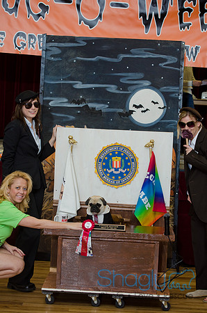 PugOween-71