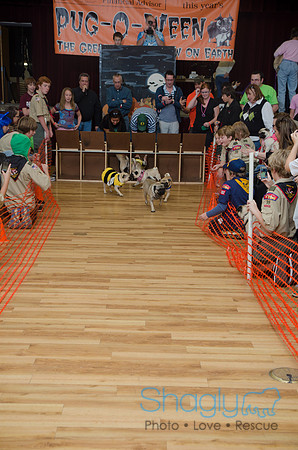 PugOween-1