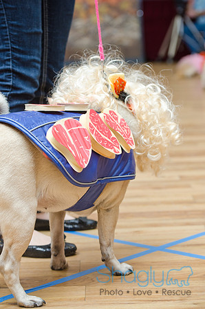 PugOween-125