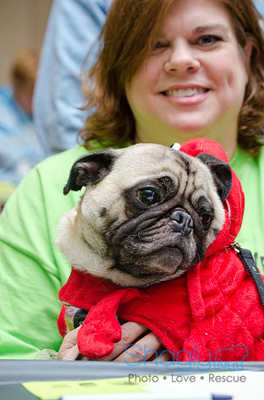 PugOween-76