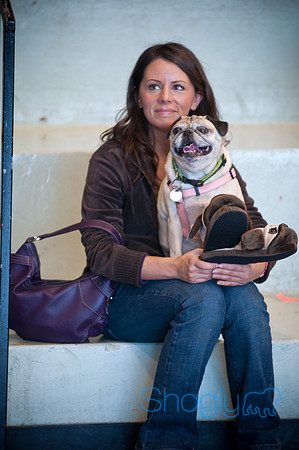 PugOWeen-4