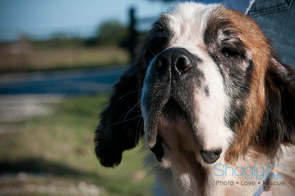 St.Clouds Rescue-0455