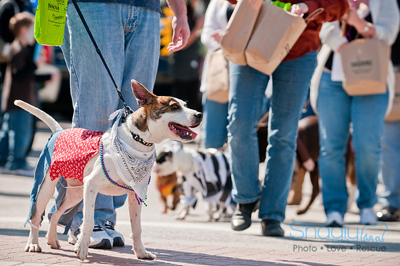 Krewe of Barkus 2011-88