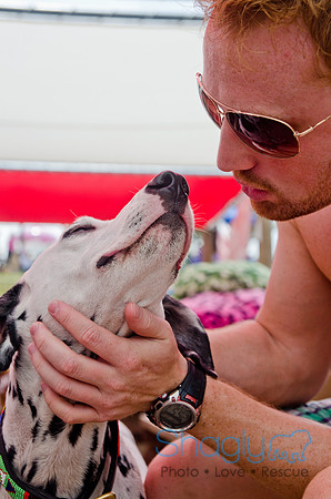 Wags and Waves 2011-291
