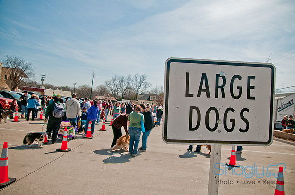 Krewe of Barkus 2011-49