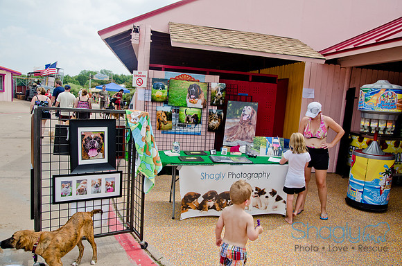 Wags and Waves 2011-342
