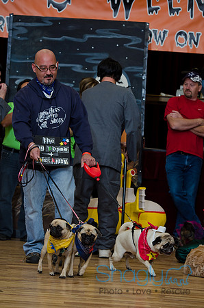 PugOween-201