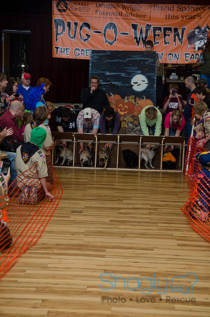 PugOween-265