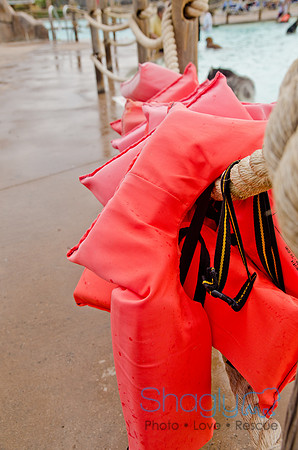 Wags and Waves 2011-377